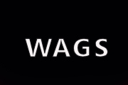 WAGS on E!