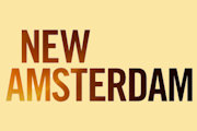 New Amsterdam on NBC