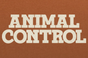 Animal Control on Fox