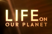 Life on Our Planet on Netflix