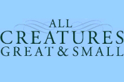 All Creatures Great and Small on PBS