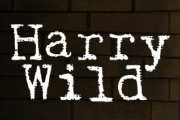 Harry Wild on Acorn TV